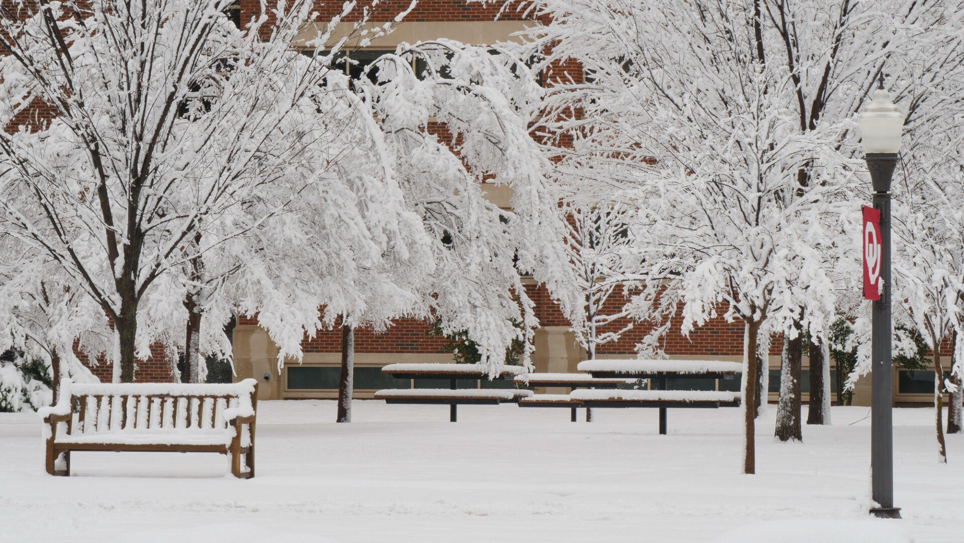 Snow on the South Oval